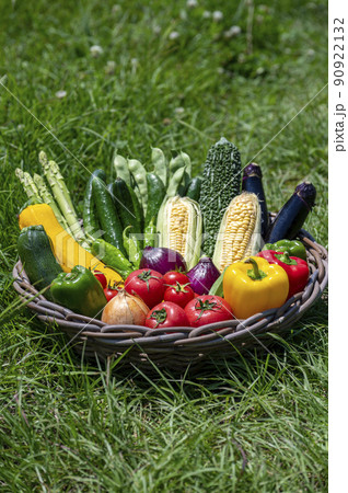 カゴに盛った夏野菜 カゴに盛った夏野菜 90922132