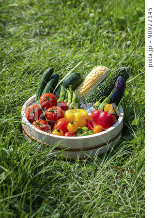 カゴに盛った夏野菜 カゴに盛った夏野菜 90922145