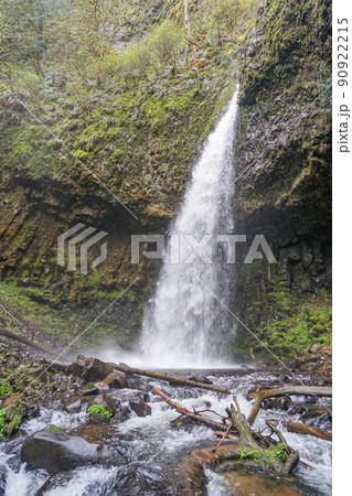 Upper Latourell Falls 90922215