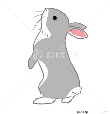 二本足で立っている灰色うさぎのイラスト素材