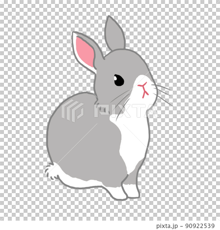 一隻灰色的兔子坐了一點 90922539