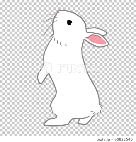 兩條腿站立的白兔 兩條腿站立的白兔 90922540