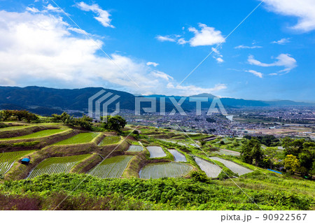 長尾根の棚田 90922567