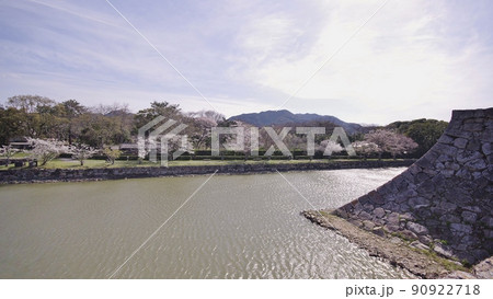 春の萩指月公園と桜並木 90922718