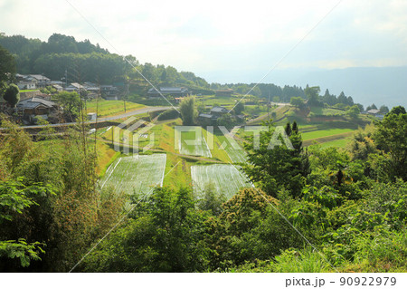 深野の棚田 90922979