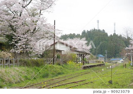 小湊鉄道 月崎駅の桜 90923079