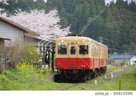 小湊鉄道 月崎駅の桜 キハ200 小湊鉄道 月崎駅の桜 キハ200 90923086