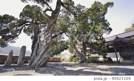 阿武町奈古の里と大覚寺 90923109