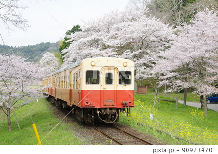 小湊鉄道 上総大久保駅の桜と菜の花 キハ200 小湊鉄道 上総大久保駅の桜と菜の花 キハ200 90923470