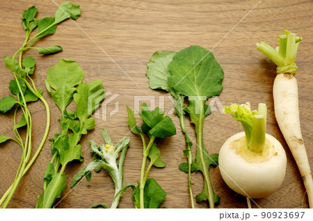 春の七草　七つセット 90923697