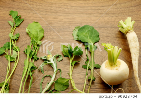 春の七草　七つセット 90923704