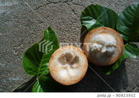 santol and leaf on the background from above 90923932