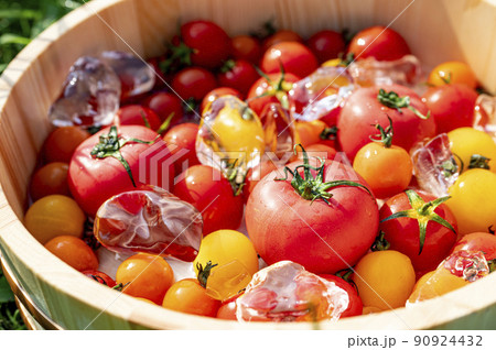 氷で冷やした新鮮なトマト 90924432