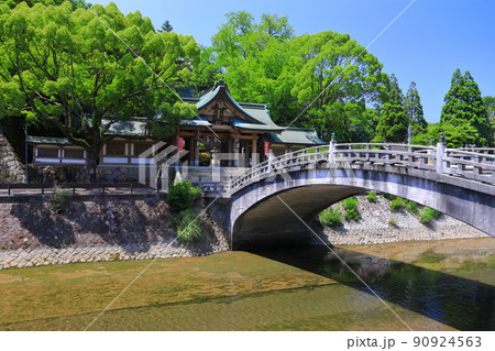 【愛媛県】新緑の和霊神社 神門 【愛媛県】新緑の和霊神社 神門 90924563