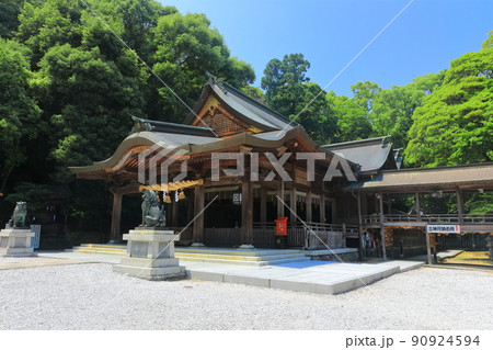【愛媛県】新緑の和霊神社　 90924594