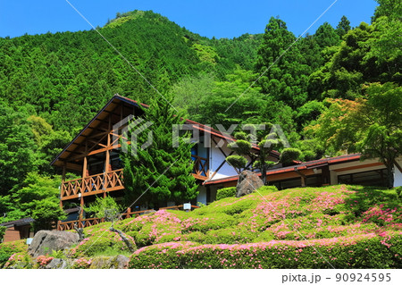 【愛媛県】新緑の成川渓谷休養センター 90924595