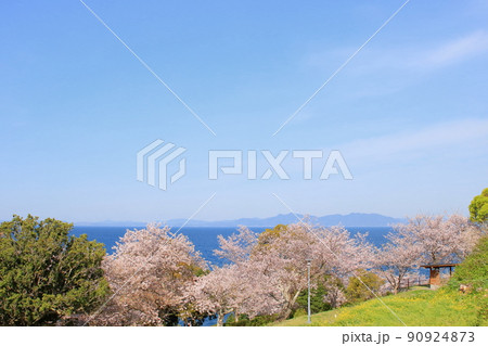 春の海辺の公園 90924873