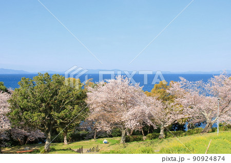 春の海辺の公園 春の海辺の公園 90924874