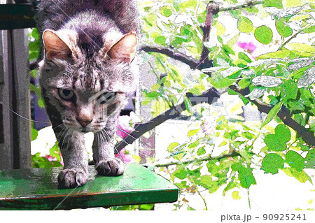 癒し癒され窓辺の猫その長閑な日々 90925241