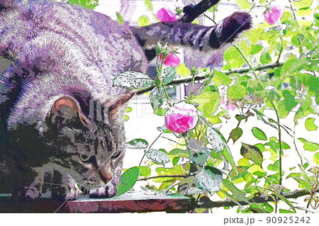 癒し癒され窓辺の猫その長閑な日々 癒し癒され窓辺の猫その長閑な日々 90925242