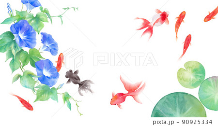 金魚とアサガオと睡蓮の葉で構成した、夏のイメージ背景。水彩イラスト。お中元、暑中見舞いのバナー背景。 90925334