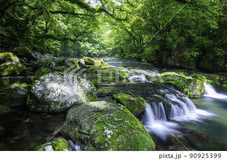 初夏の新緑が美しい菊池渓谷 （熊本県菊池市） 90925399