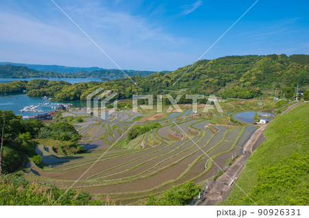 水が張られた大浦の棚田 90926331