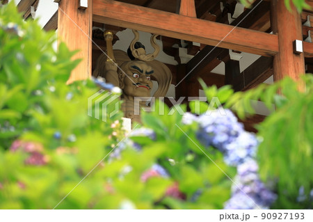 阿吽像と紫陽花(高徳院) 90927193