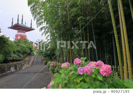 アジサイと高徳院の塔 アジサイと高徳院の塔 90927195