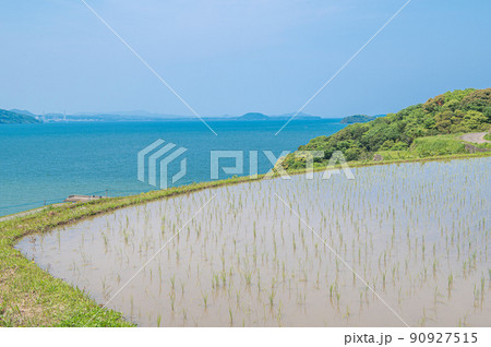 水が張られた土谷棚田 水が張られた土谷棚田 90927515