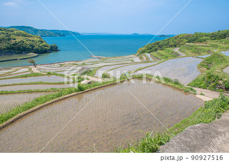 水が張られた土谷棚田 水が張られた土谷棚田 90927516