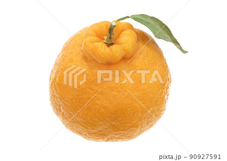 デコポン 90927591