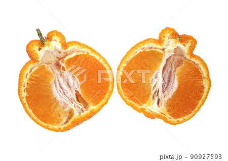 デコポン デコポン 90927593