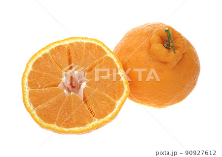 デコポン デコポン 90927612