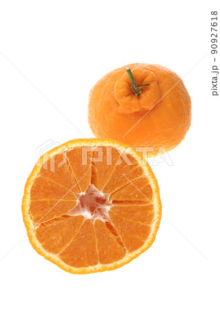 デコポン デコポン 90927618