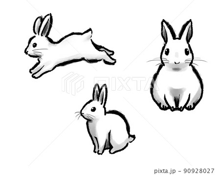 墨絵の白ウサギのイラスト素材 [90928027] - PIXTA