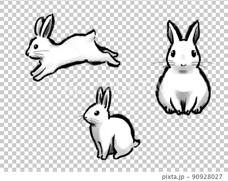手描きイラスト＊オリジナル【白ウサギ】 白いうさぎ手描き風イラストのイラスト素材 [93987819] - PIXTA