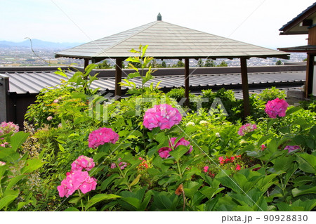 池田山山麓散策（阿梨耶山弓削寺）・66（岐阜県揖斐郡池田町） 90928830