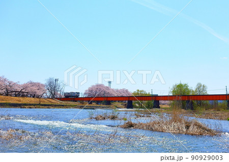 満開の桜並木 雪解けの清流 フラワー長井線 満開の桜並木 雪解けの清流 フラワー長井線 90929003