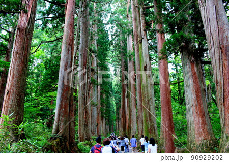 戸隠神社　　：　古来の神社仏閣　　　信州の神社仏閣 90929202