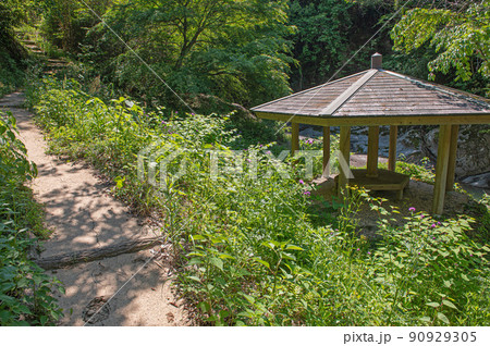 観音の滝遊歩道 観音の滝遊歩道 90929305