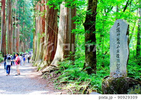 戸隠神社 : 古来の神社仏閣 信州の神社仏閣 戸隠神社 : 古来の神社仏閣 信州の神社仏閣 90929309