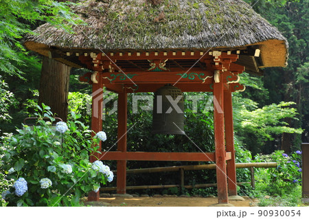 塩船観音寺の紫陽花 90930054