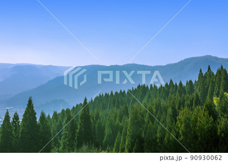 杉山の稜線と青空 杉山の稜線と青空 90930062