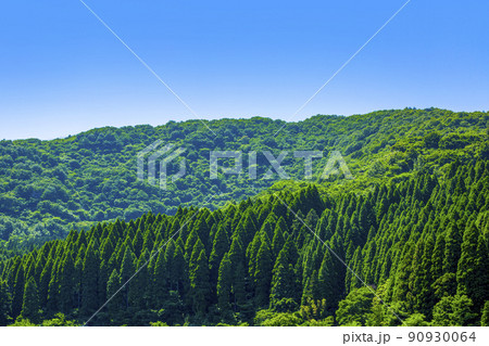 杉山の稜線と青空 90930064