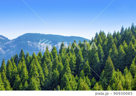 杉山の稜線と青空 杉山の稜線と青空 90930065