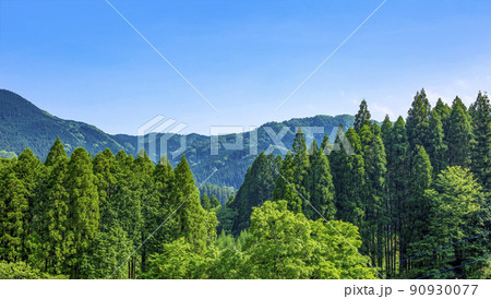 杉山の稜線と青空 杉山の稜線と青空 90930077
