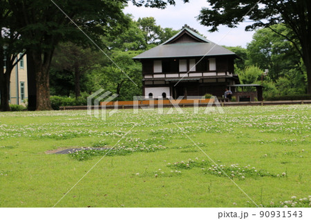 アジサイの季節の府中郷土の森博物館 アジサイの季節の府中郷土の森博物館 90931543