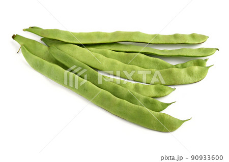 モロッコいんげん 90933600