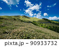 青空と高原、長野県、美ヶ原高原 90933732